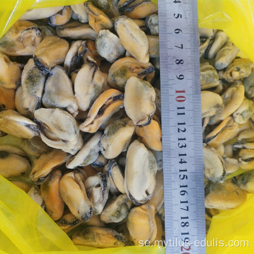 frysta kokta musslor med hel skal